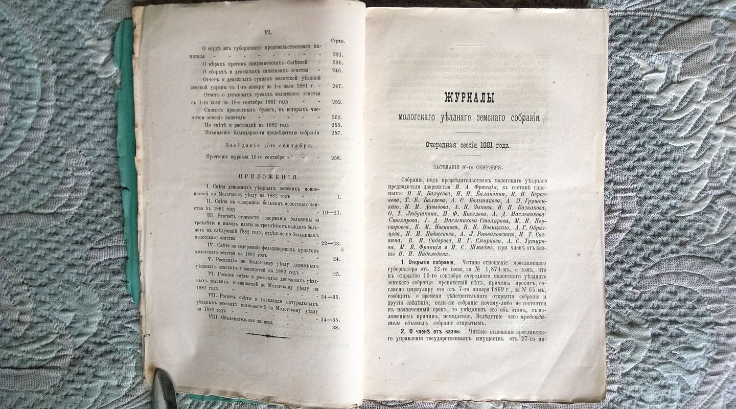 Журналы Мологского уездного земского собрания: Очередная сессия 1881 года.