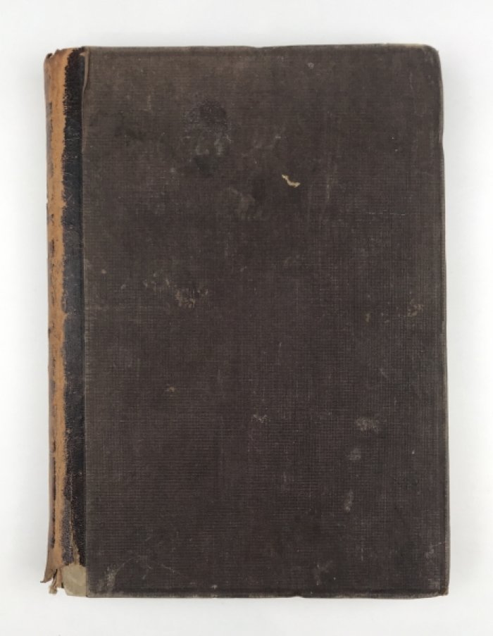 Исторический роман «Стенька Разин» (Гавриил Хрущев-Сокольников), 1886