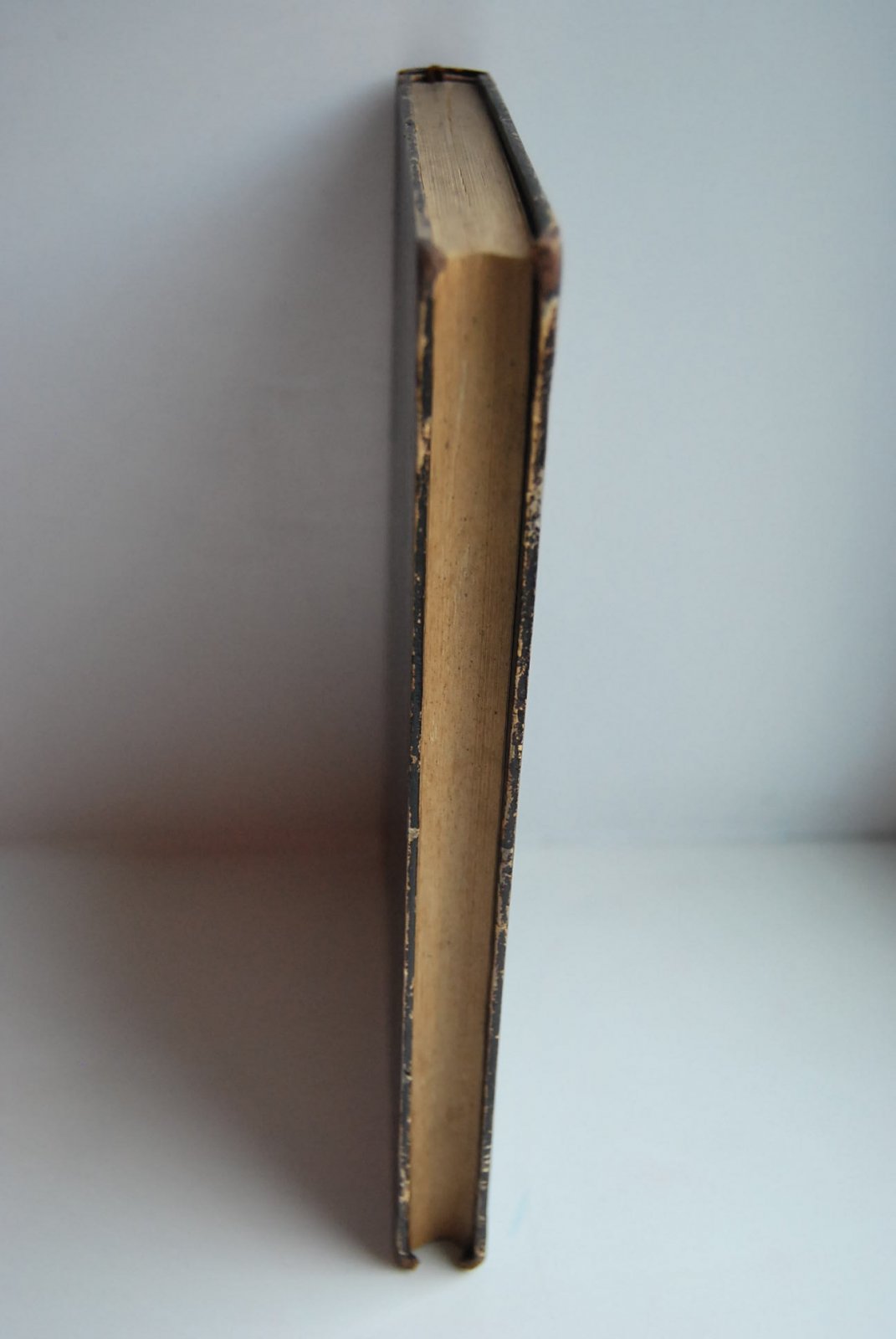 Гелленбах Л. Индивидуализм в свете биологии и современной философии.