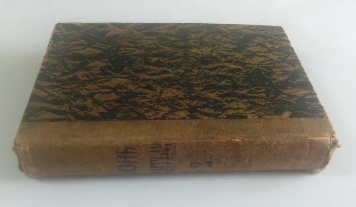 Виноградов, Петр (священник). Жизнь Святых.