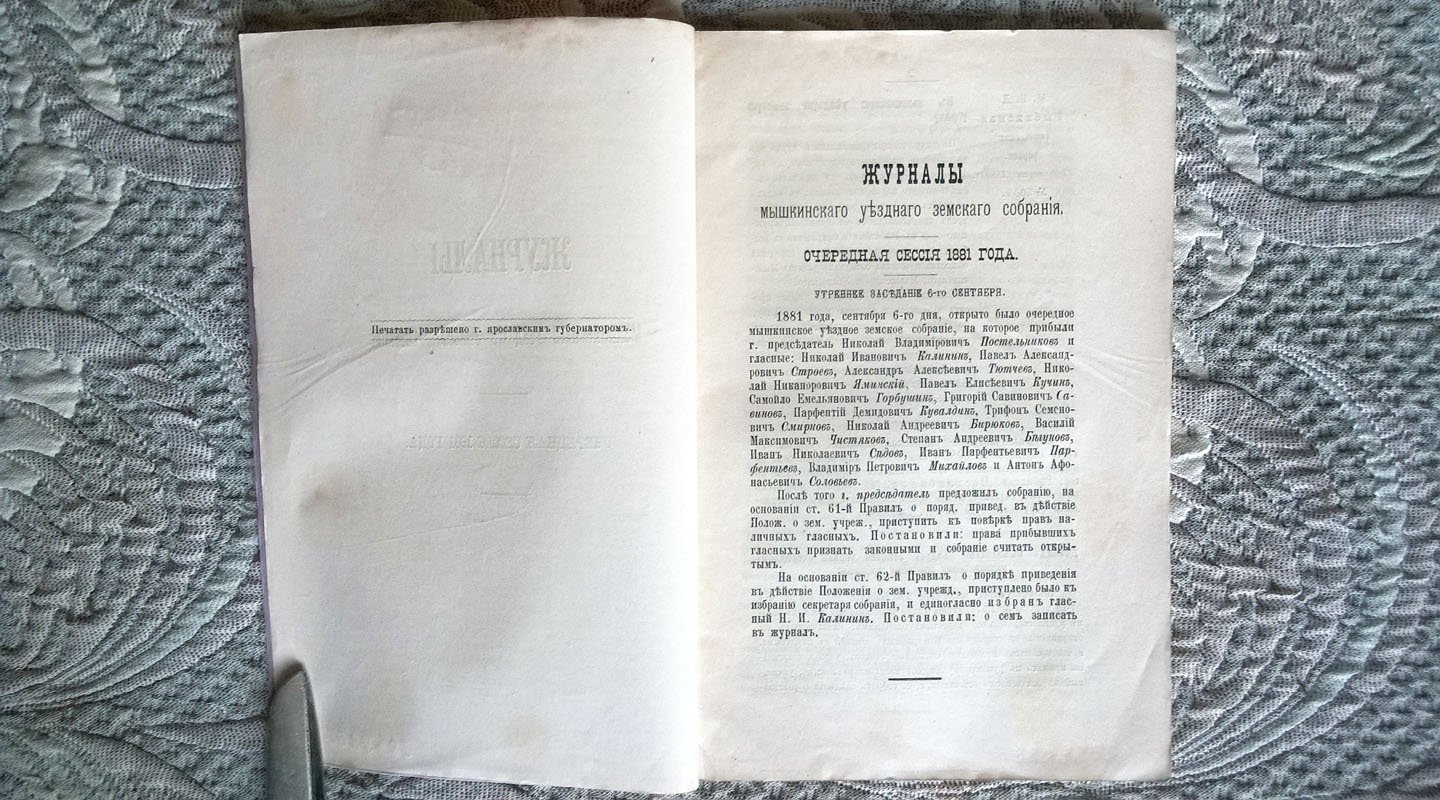 Журналы Мышкинского уездного земского собрания: I. Очередная сессия 1881 года. II. Чрезвычайная сессия в декабре 1881 года.