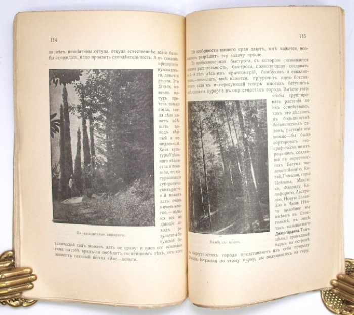 Батумское побережье «Русские тропики»: Сборник статей о природе, истории и культуре