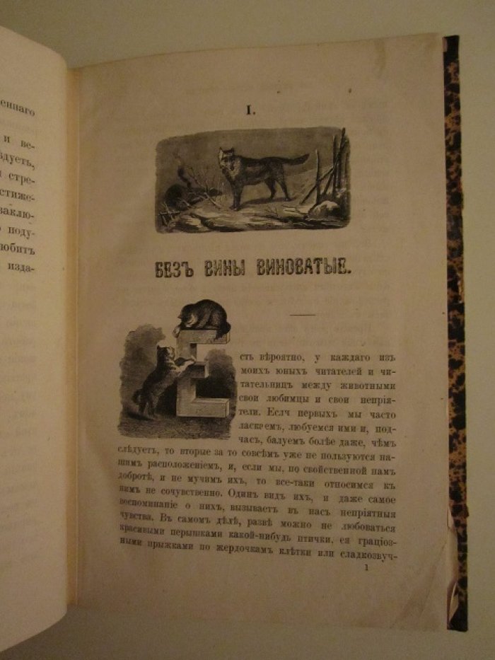 Бетхер А. Из великой книги природы.