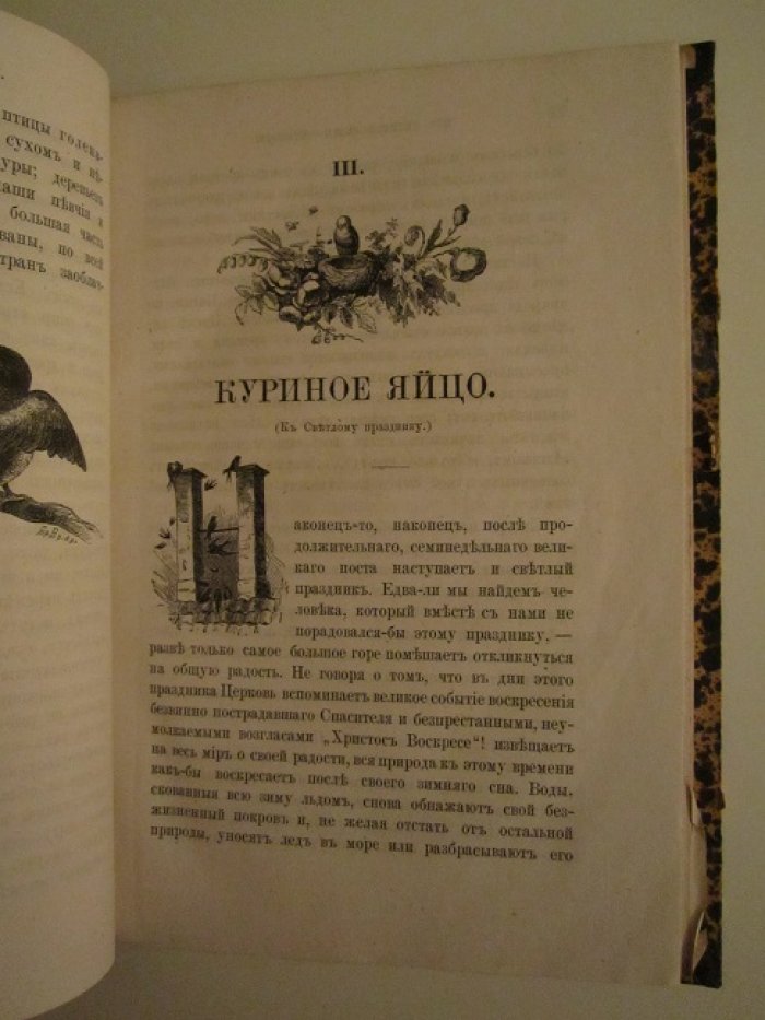 Бетхер А. Из великой книги природы.