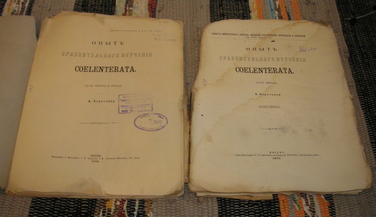 Кортнев А. Опыт сравнительного изучения COLENTERATA. Части 1 - 3. В 2-х переплетах.