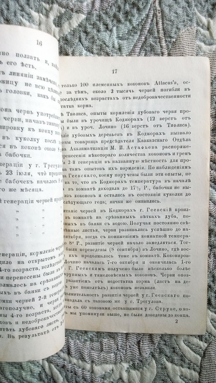 Отчет и протоколы заседаний Комитета шелководства Императорского Московского Общества сельского хозяйства за 1876 год.