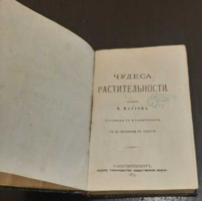 Марион Фульжанс. Чудеса растительности.