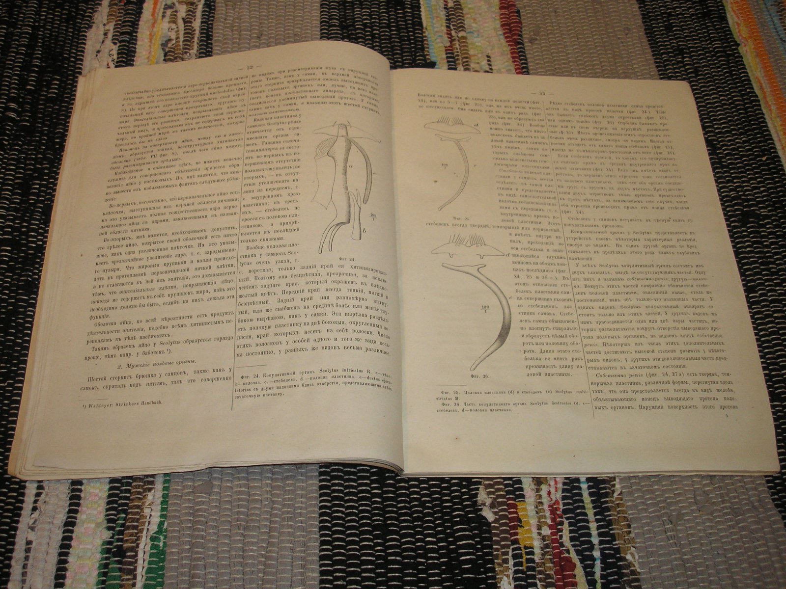 Линдеман Н. Э. Монография короедов (BOSTRICHIDAE).