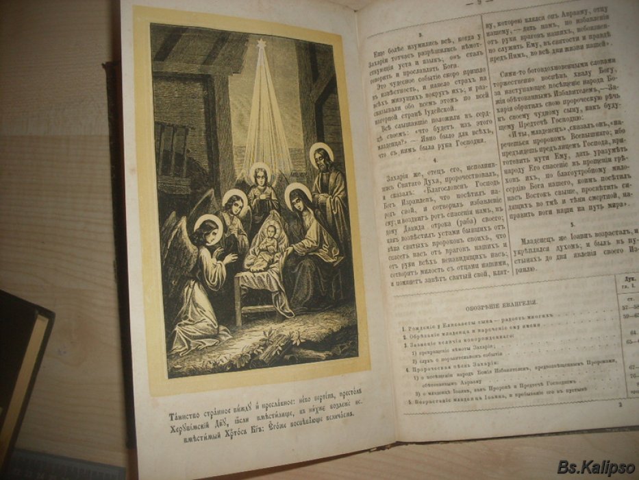 Гречулевич В. Евенгельская история.