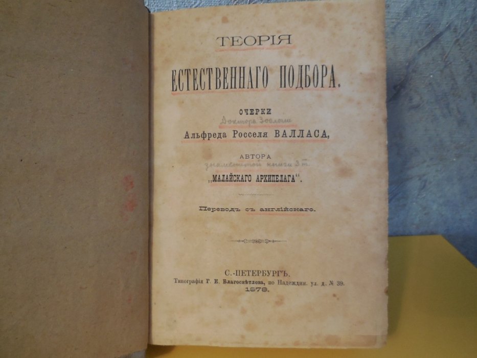 Альфред Россель Валлас / Уоллес/. Теория естественного подбора.