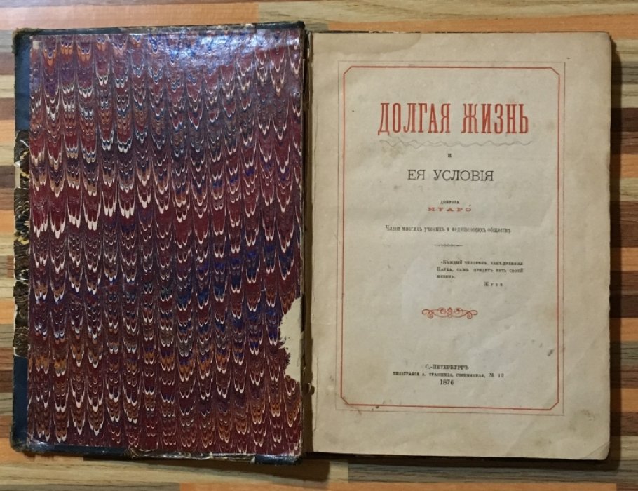 Нуаро. Долгая жизнь и ее условия.