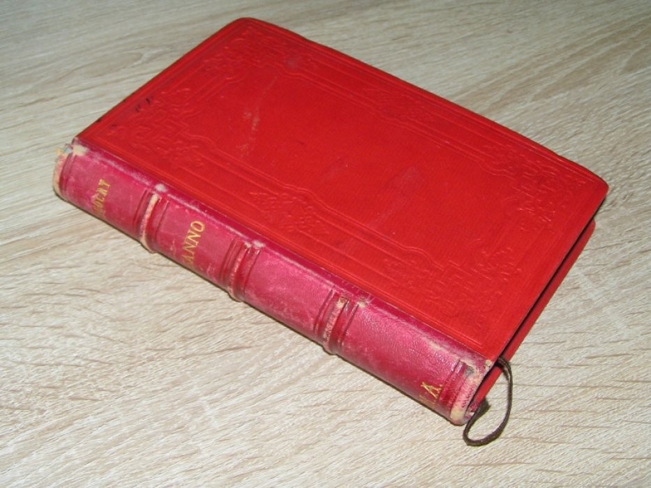 Goncourt Edmond de [ Гонкур Э.] Les Freres Zemganno. [ Братья Земгано ]