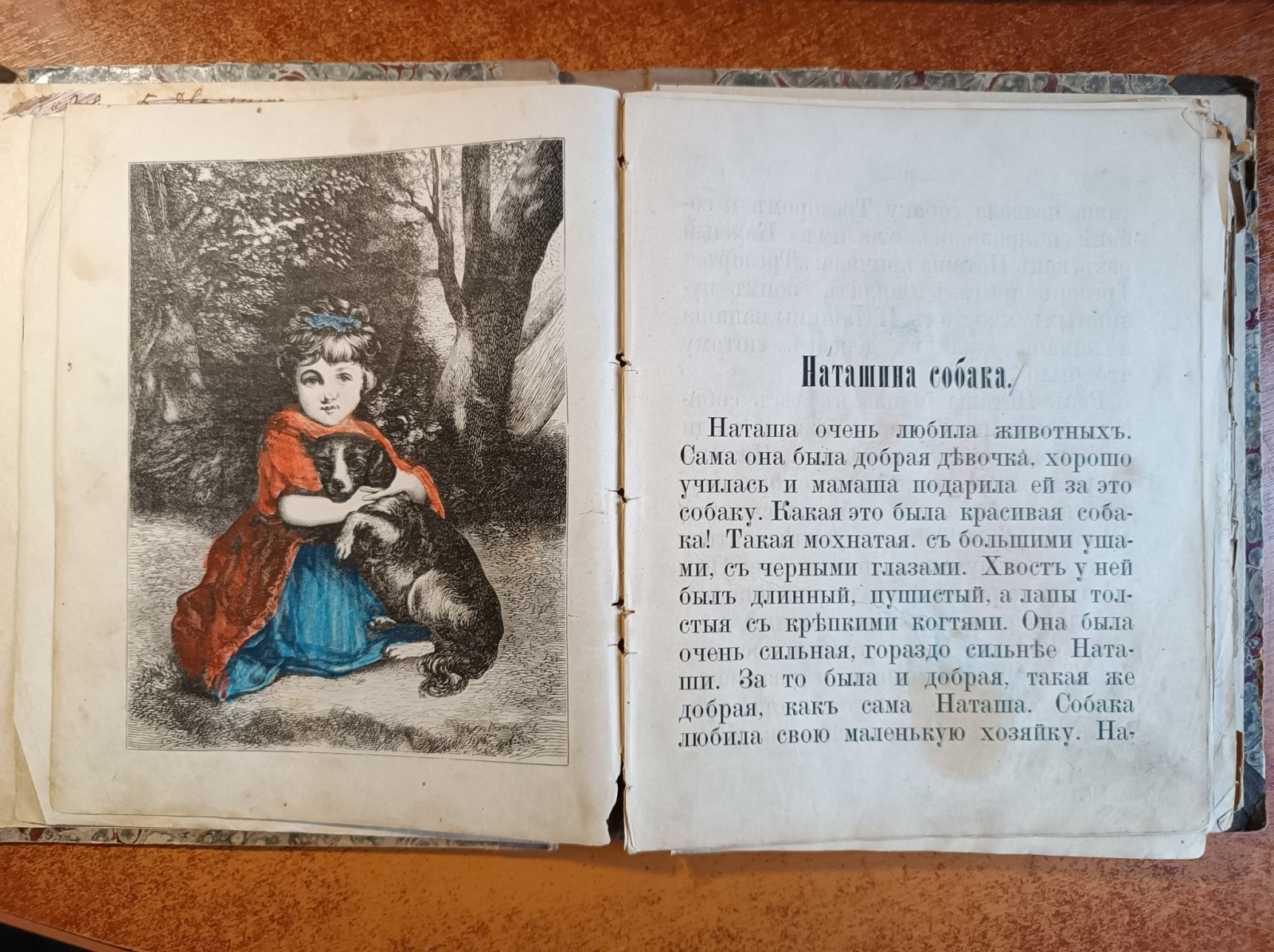 Ергольская М.М. Детское чтение. Для детей от 5 до 7 летнего возраста.