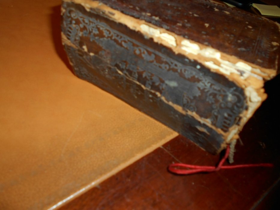 Канноник.