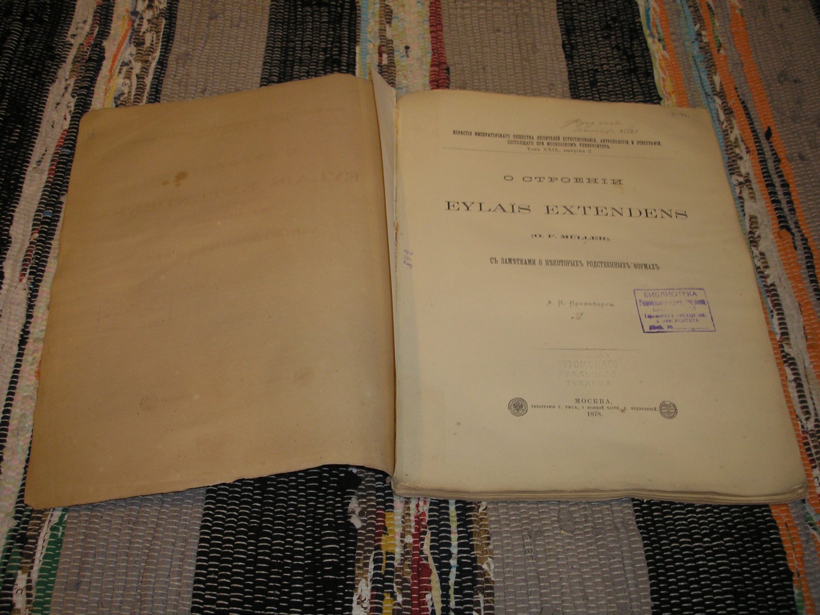 Muller O. F. О строении EYLAIS EXNTENDENS.