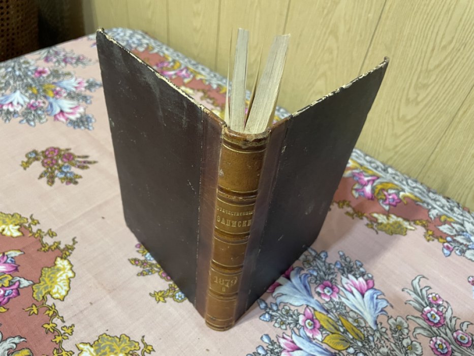 Отечественные записки. № 6 за 1879 год.