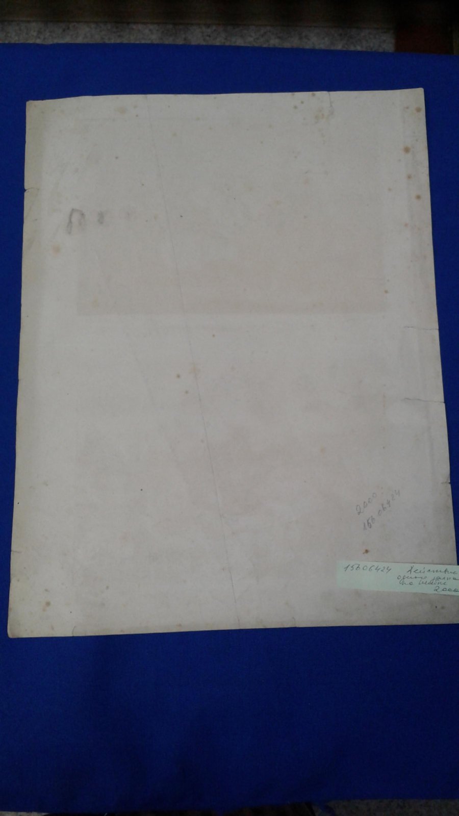 Русско-турецкая война. Действие одного залпа на Шибке,11 августа 1877 г. В госпитале.