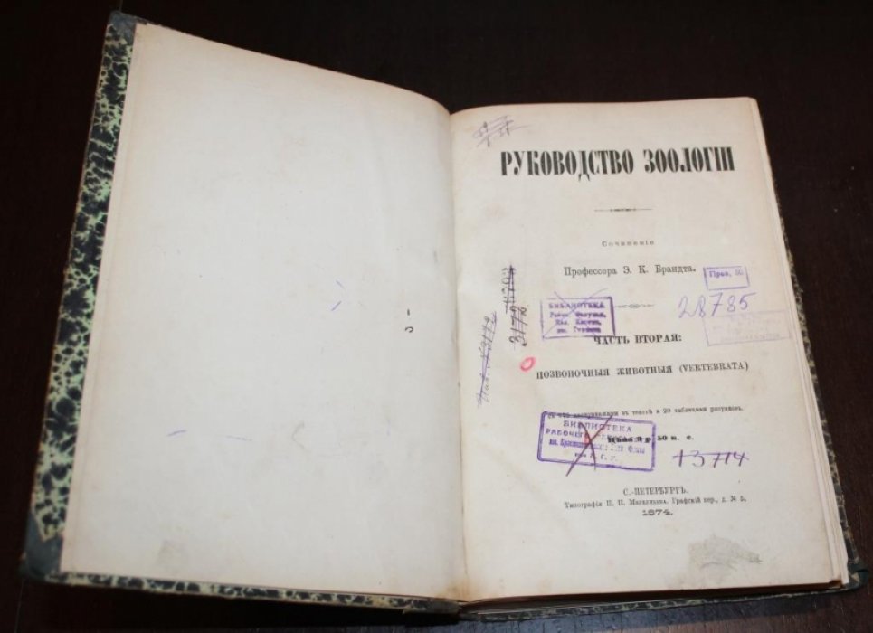 Брандт  Э.К. Руководство зоологии.
