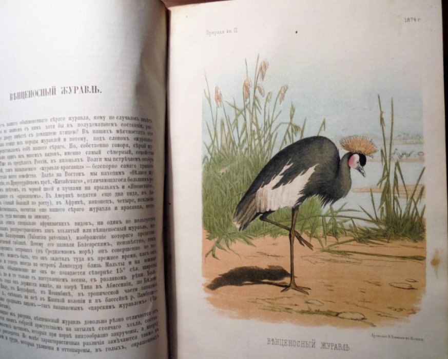 Природа. Популярный естественно-исторический сборник. 1874г., книга 3.