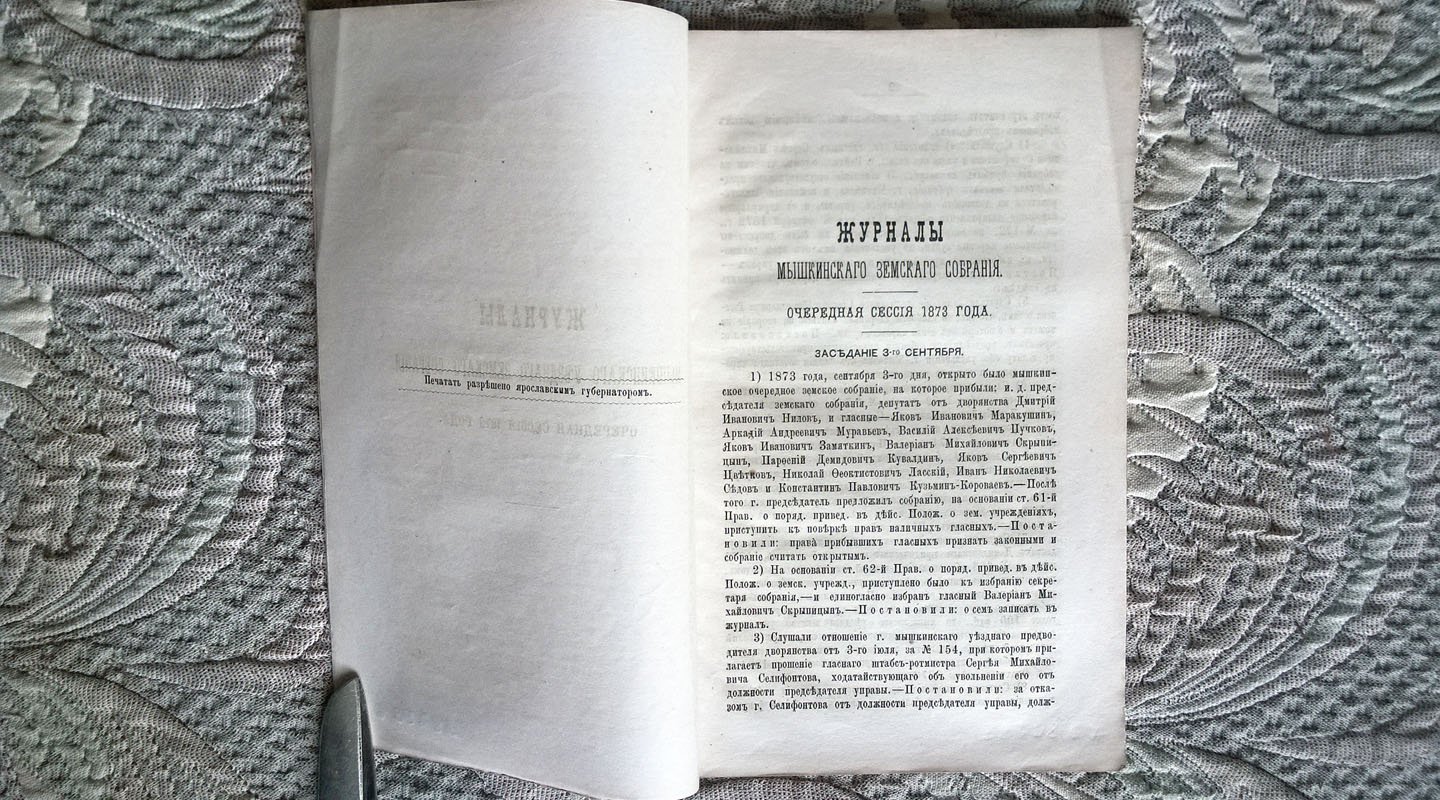 Журналы Мышкинского уездного земского собрания: Очередная сессия 1873 года.