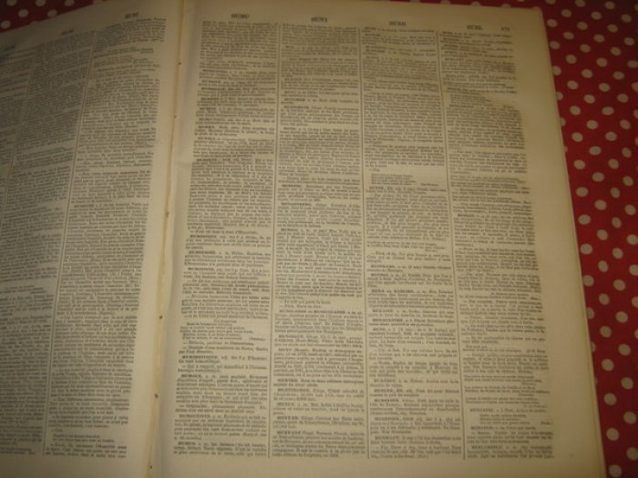 Bescherelle L.-N. Dictionnaire National ou Dictionnaire Universel de la Langue Francaise. Tome Second. G - Z.