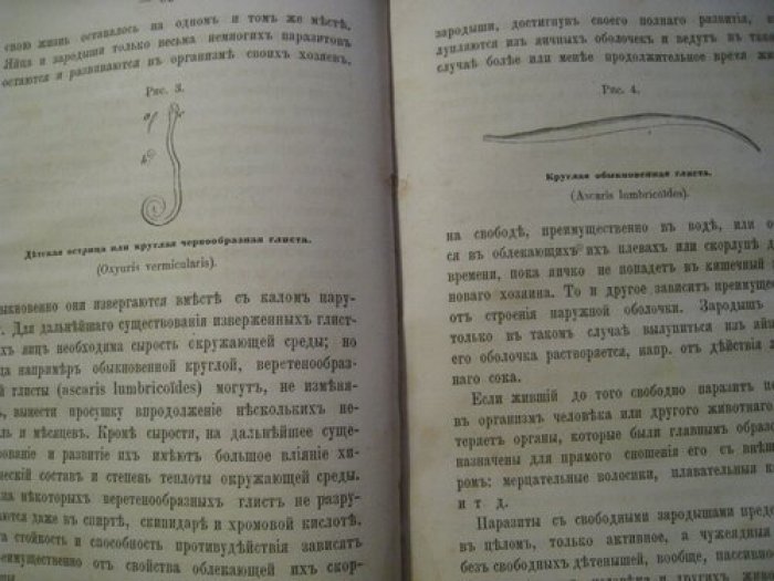 Андреевский Н. Человек и встречающиеся в нем чужеядные растения и животные.