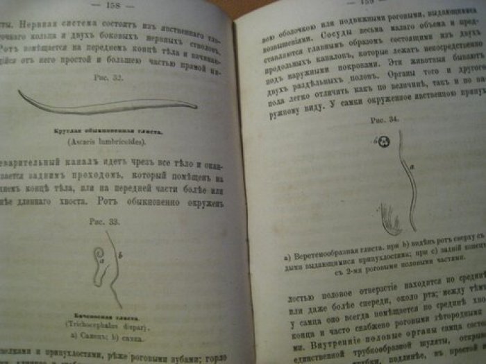 Андреевский Н. Человек и встречающиеся в нем чужеядные растения и животные.