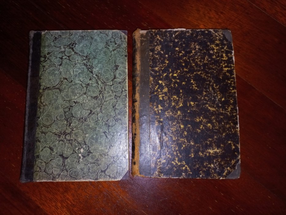 Homeri [Гомер]. Homeri Carmina ad optimorum librorum fidem expressa curante Guilielmo Dindorfio. Vol. II. Pars I. Odyssea I - XII, Vol. II. Pars II. Odyssea XIII - XXIV.