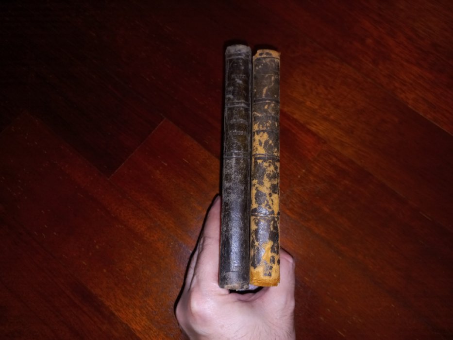 Homeri [Гомер]. Homeri Carmina ad optimorum librorum fidem expressa curante Guilielmo Dindorfio. Vol. II. Pars I. Odyssea I - XII, Vol. II. Pars II. Odyssea XIII - XXIV.