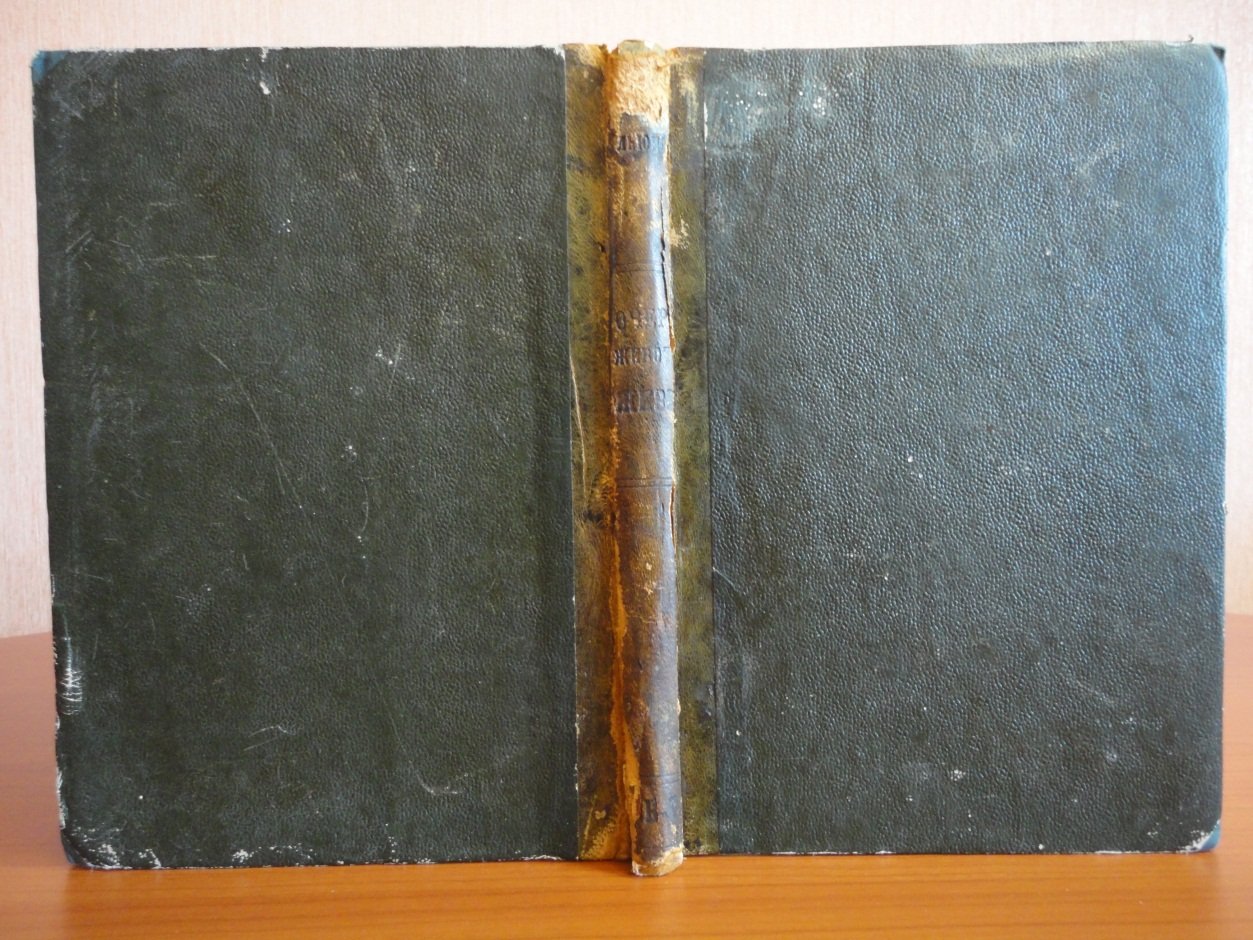 Льюис Г.Г. Очерки животной жизни.