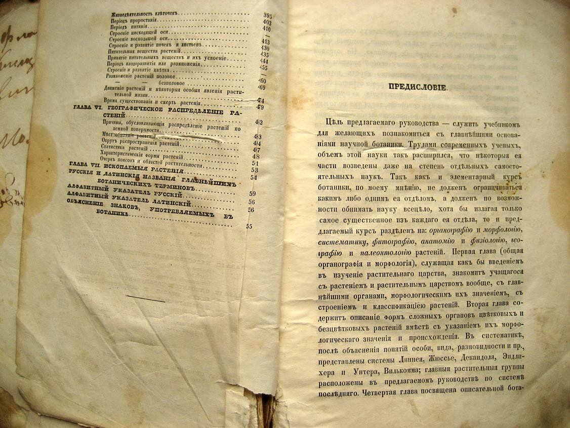 Григорьев В. Руководство к ботанике.