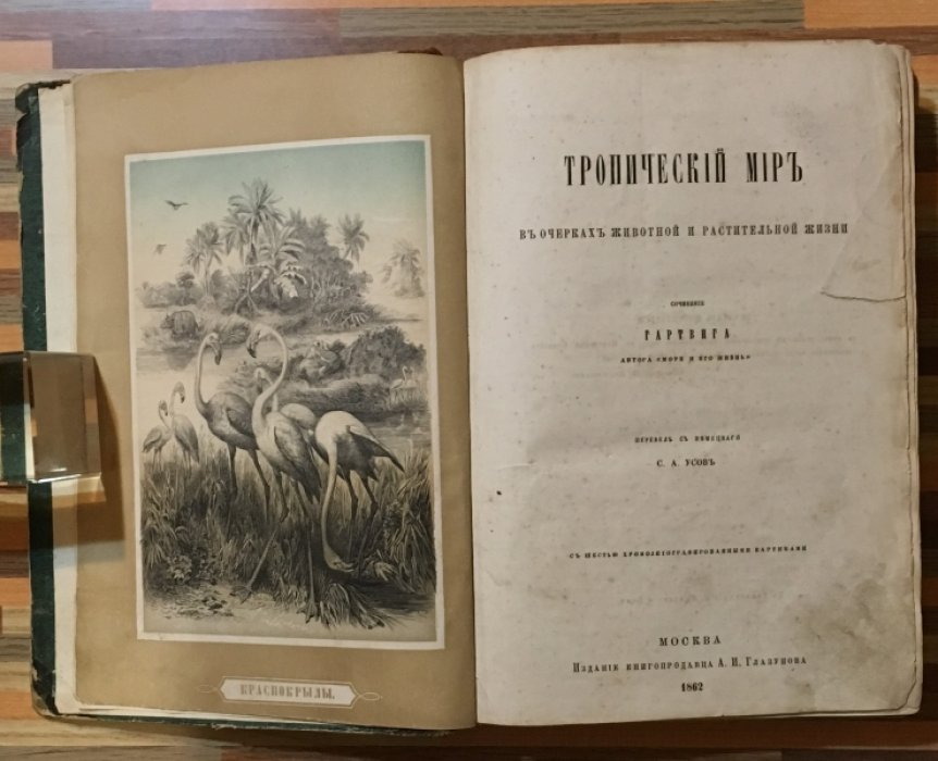 Гартвиг. Тропический мир. В очерках животной и растительной жизни. С шестью хромолитографированными картинами.