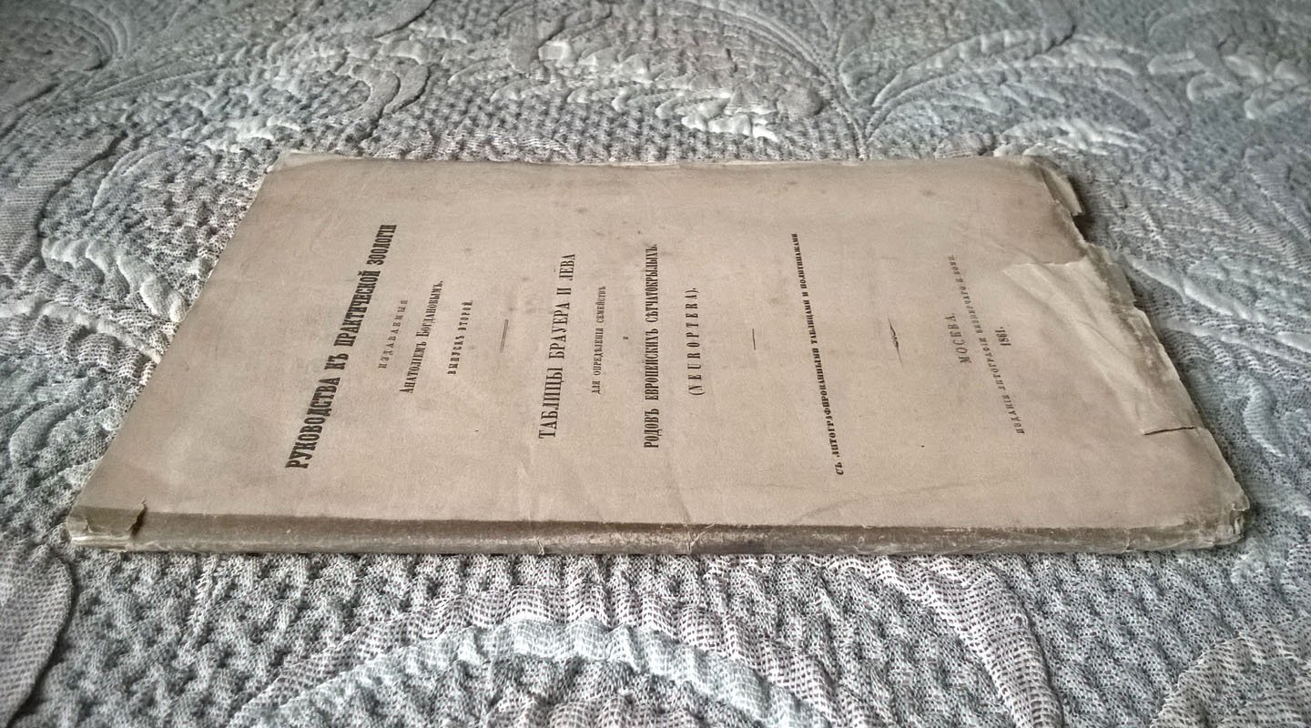 Богданов А. Руководства к практической зоологии, издаваемые Анатолием Богдановым. Выпуск второй: Таблицы Брауера и Лева для определения семейств родов европейских сетчатокрылых (Neuroptera).