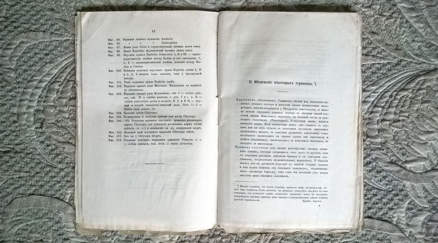 Богданов А. Руководства к практической зоологии, издаваемые Анатолием Богдановым. Выпуск второй: Таблицы Брауера и Лева для определения семейств родов европейских сетчатокрылых (Neuroptera).