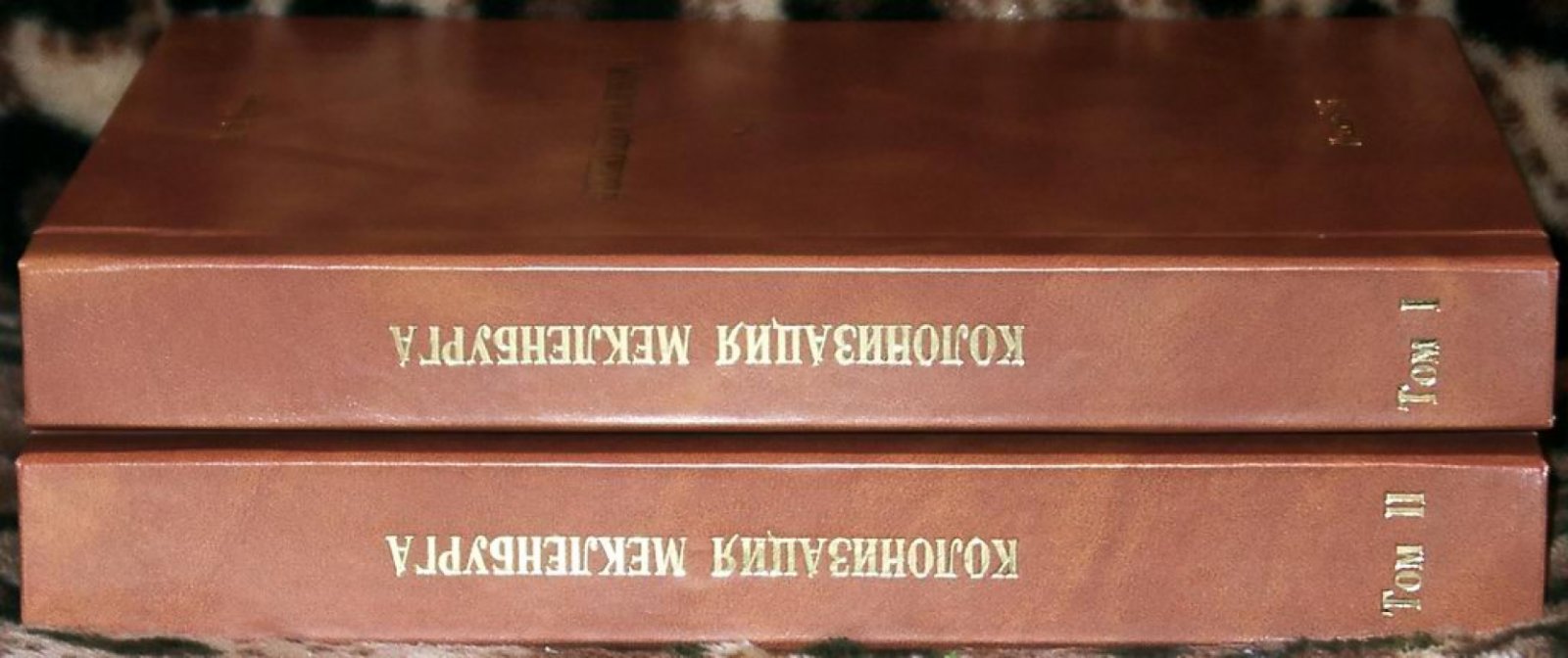 Колонизация Мекленбурга в XIII веке: славяно-германские отношения (в 2 томах, в 2 переплетах)