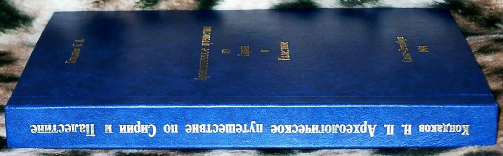 Археологическое путешествие по Сирии и Палестине: отчет русской экспедиции (1904)