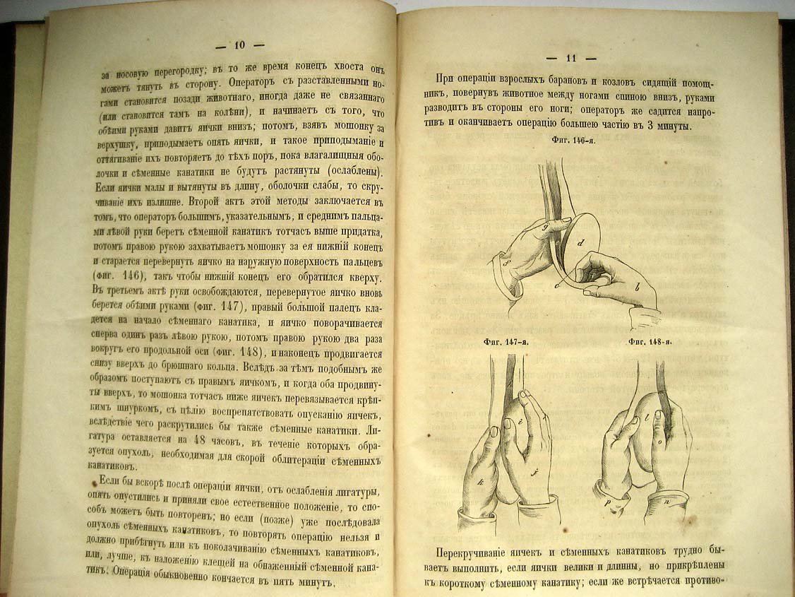 Геринг. Руководство к изучению ветеринарных операций. Выпукс 4 (окончание)