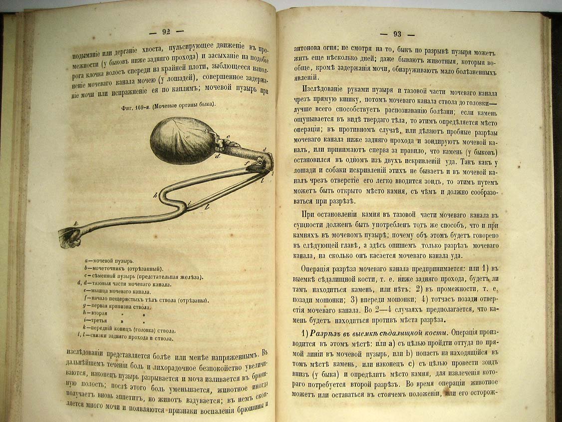 Геринг. Руководство к изучению ветеринарных операций. Выпукс 4 (окончание)