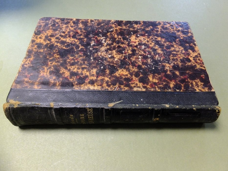 Кузен Виктор (Cousin Victor). (Madame de Chevreuse) Мадам де Шеврез: новые исследования выдающихся женщин и общества семнадцатого века.