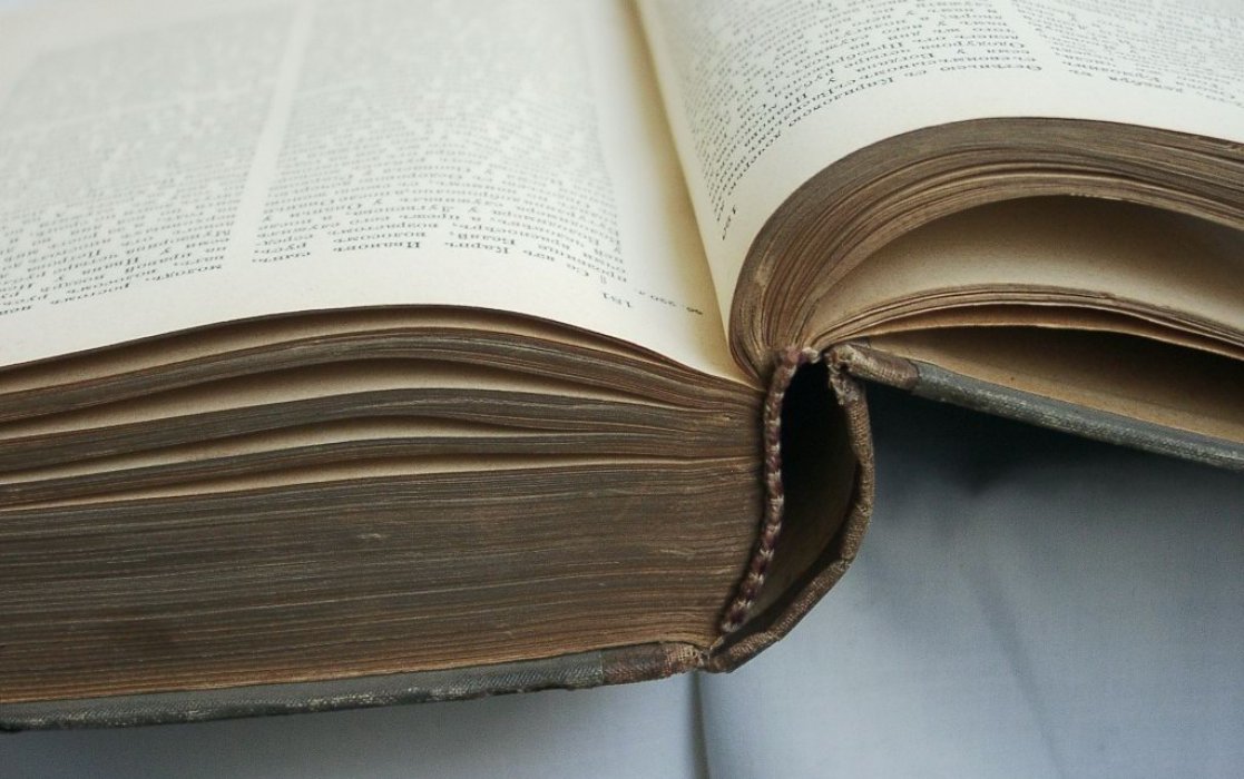 Новгородские записные кабальные книги (1591–1596 и 1602–1603 гг.): документы о кабальном закабалении и правовых нормах