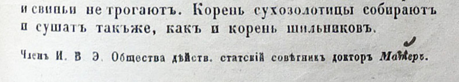 Матер (Майер К.А.). Способ лечения водобоязни [бешенства].