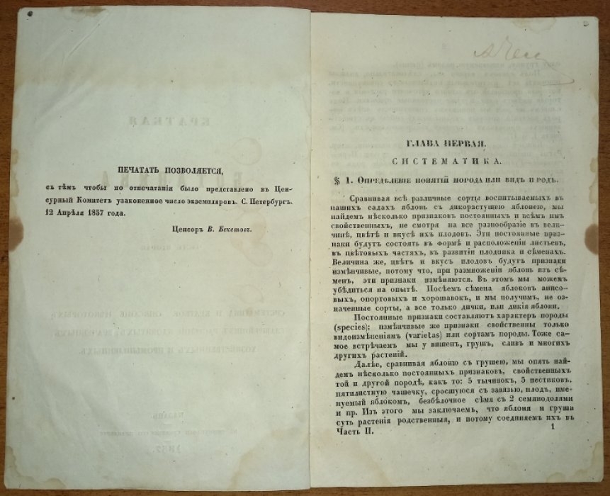Краткая ботаника. Часть вторая.