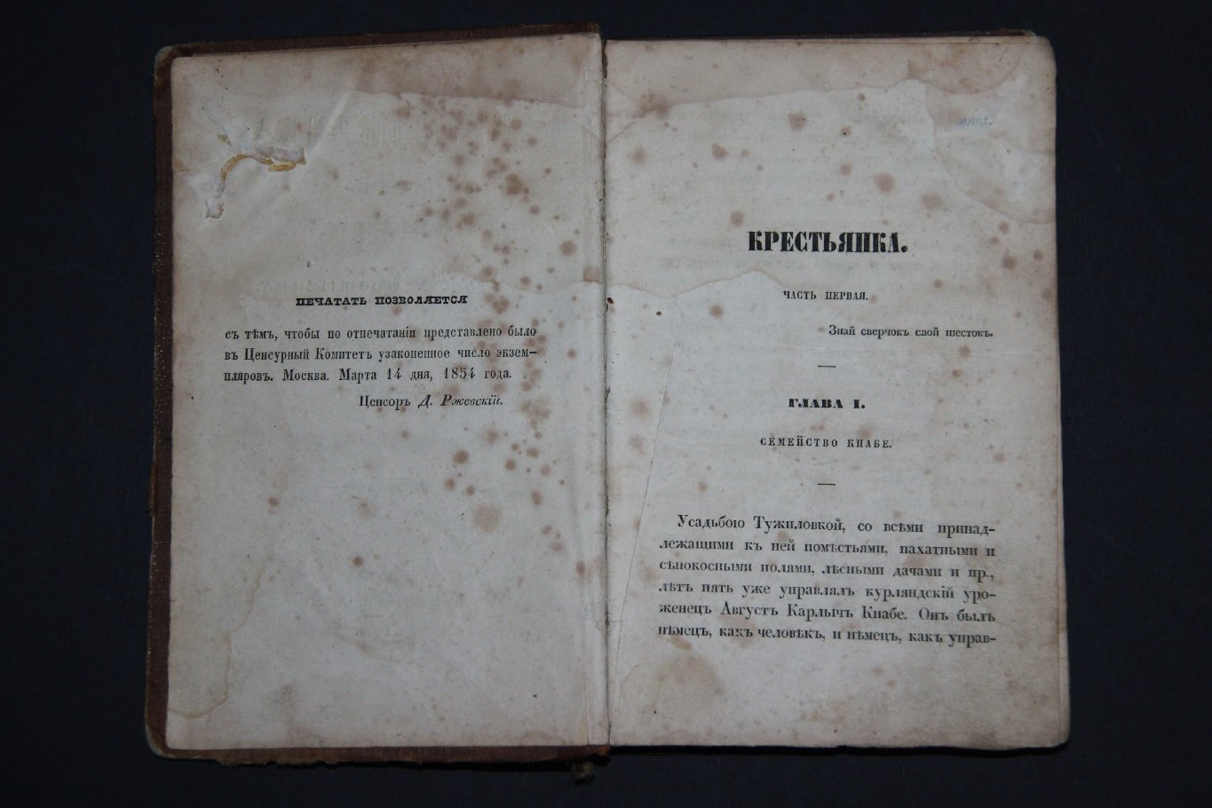 Потехин Алексей. Крестьянка. Роман в 3-х частях. Часть I.