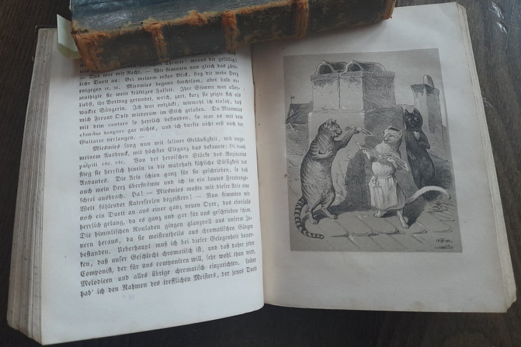 Гофман Э.Т.А. Lebensansichten des Katers Murr (Житейские истории кота Мурра). Собрание сочинений. Том VIII