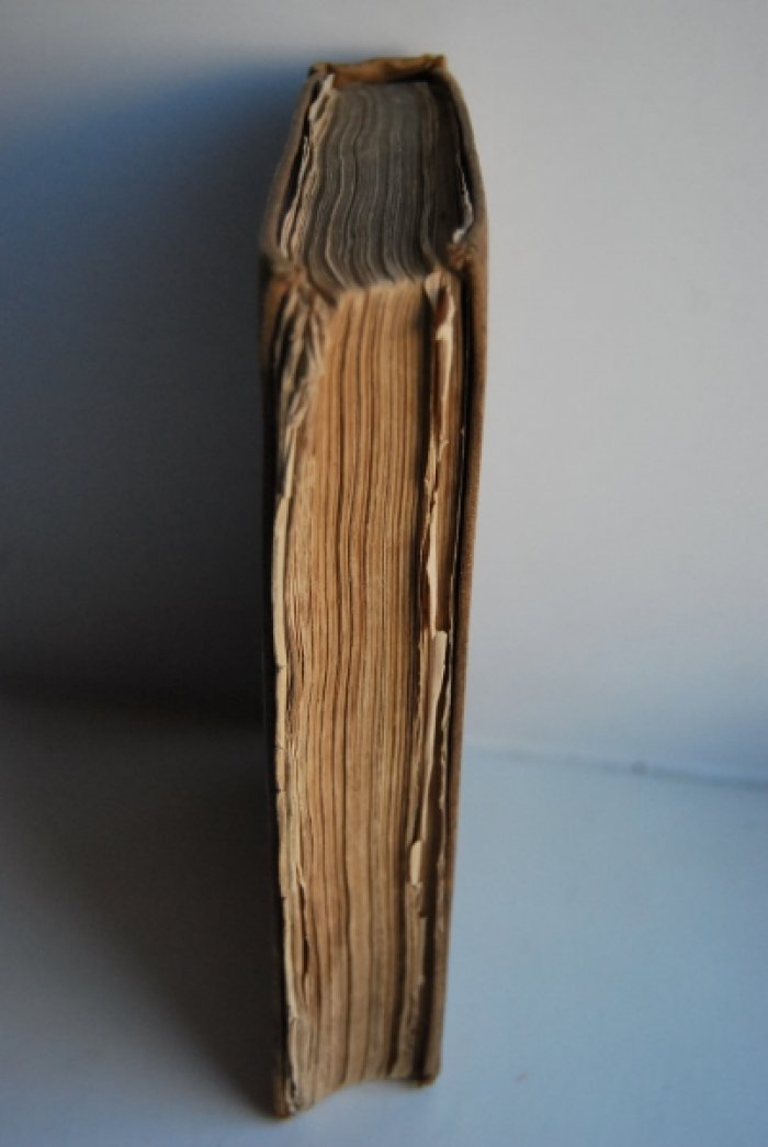 Утренняя заря. Альманах на 1841 год, изданный В.Владиславлевым.