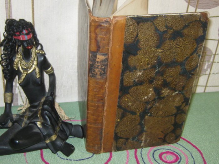 Martin de Noirlieu (L`Abbe). Le Consolateur des Affliges et des Malades.