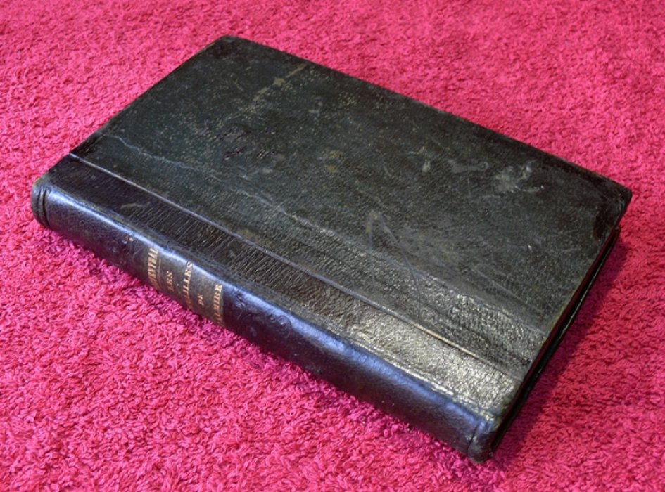 Herder J.G., Liebeskind Les feuilles de Palmier, contes orientaux. (Пальмовые листья: восточные сказки для молодежи обоих полов).