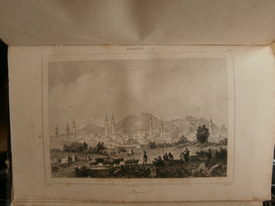 Прео (XIX) Франция - рисовальщик, Алес (XIX) Франция - гравер, Lemaitre (Августин Франсуа Леметр, 17 Гравюра на стали °Анкара°.