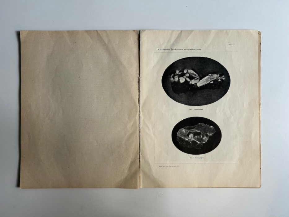 Тюя-Муюнское месторождение радия: геологическое исследование (1929)