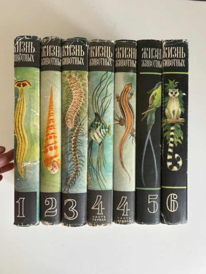 Жизнь животных: энциклопедический комплект в 6 томах (7 книг) — систематическое описание от простейших до млекопитающих